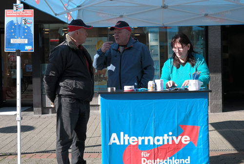 Innenansichten einer Partei - Ein AfD-Kreisverband im Ruhrgebiet